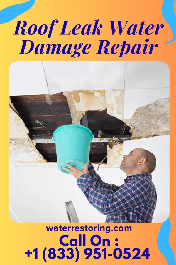 Roof Leak Water Damage Repair in Weston Lakes, TX