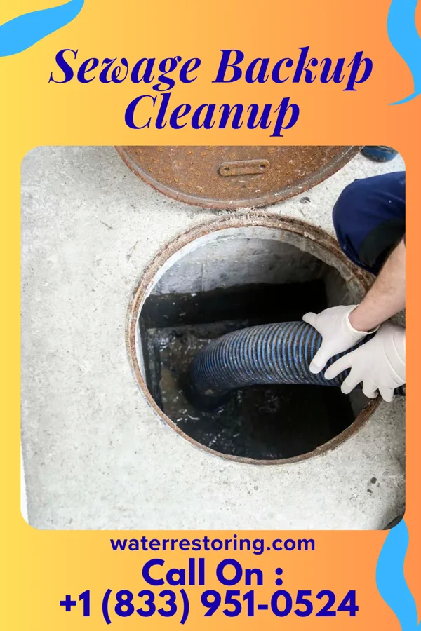Sewage Backup Cleanup in Weston Lakes, TX